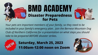 BMD Academy Disaster Prep Invite 2023