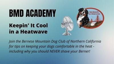 BMD Academy Keepin  It Cool Intro Slide