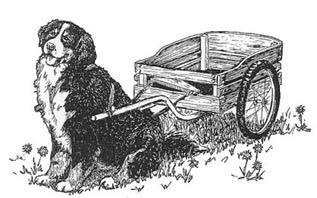 Draft dog clearance cart