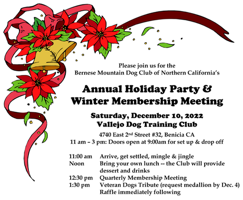 2022 Holiday Mtg graphic for website