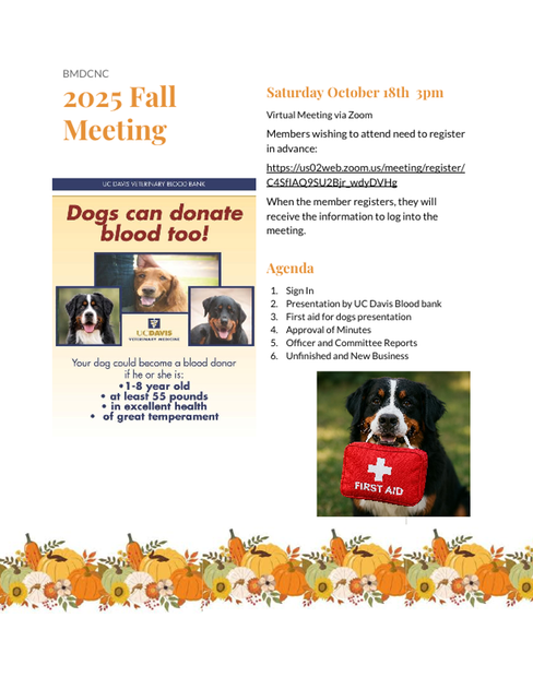 2025 BMDCNC Fall Meeting Flyer
